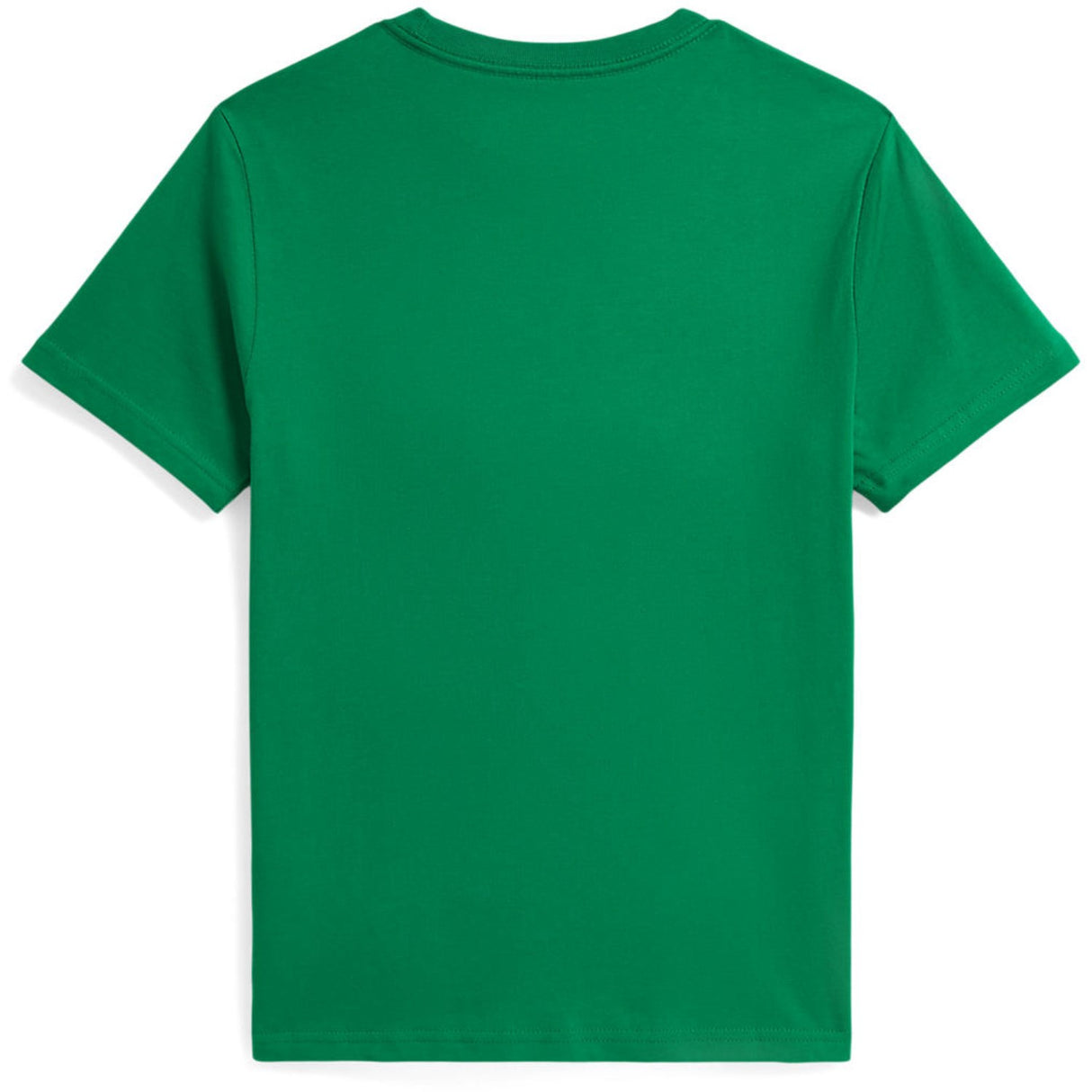 Polo Ralph Lauren Cr25 Bear Cruise Green T-Shirt
