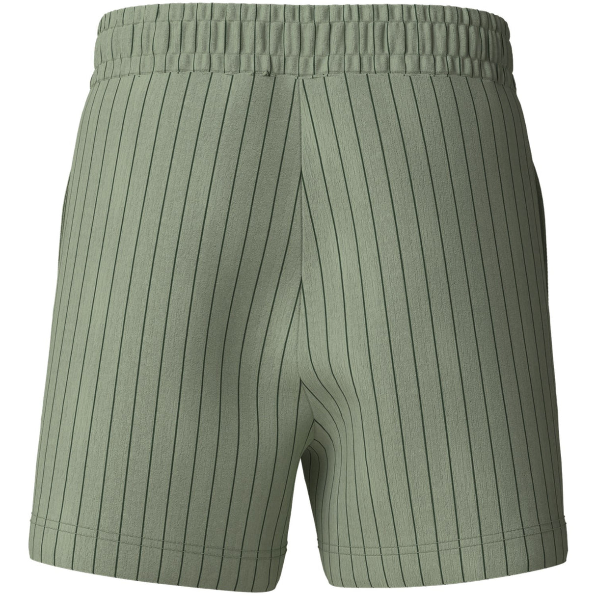 Name It Swamp Nmmhasla Nreg Shorts