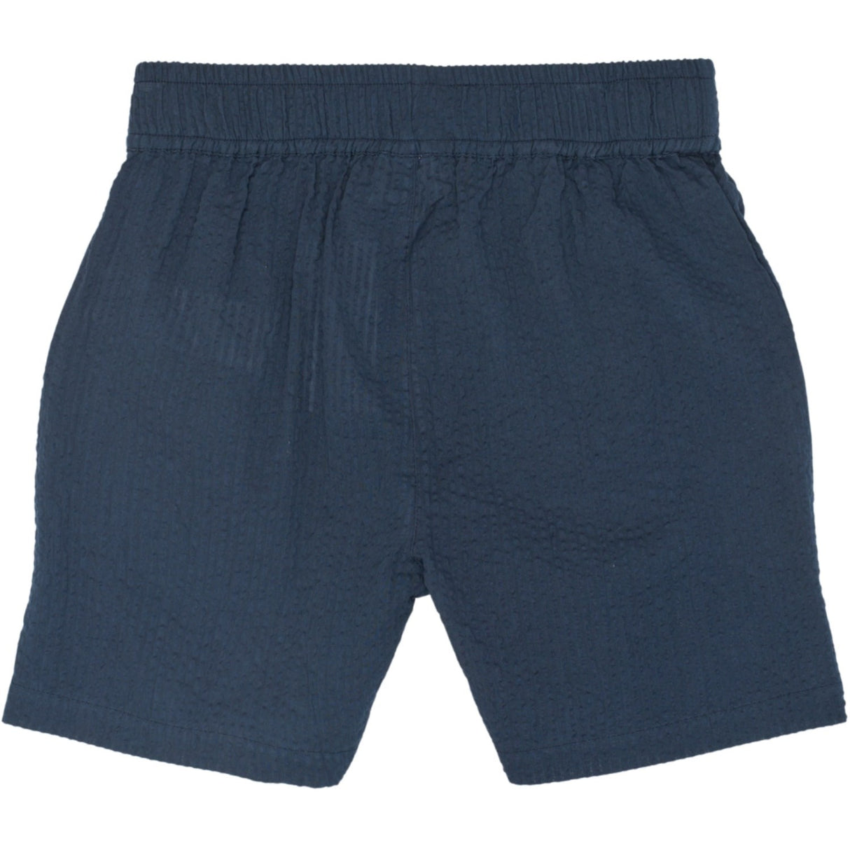 The New Navy Blazer Tntim Shorts