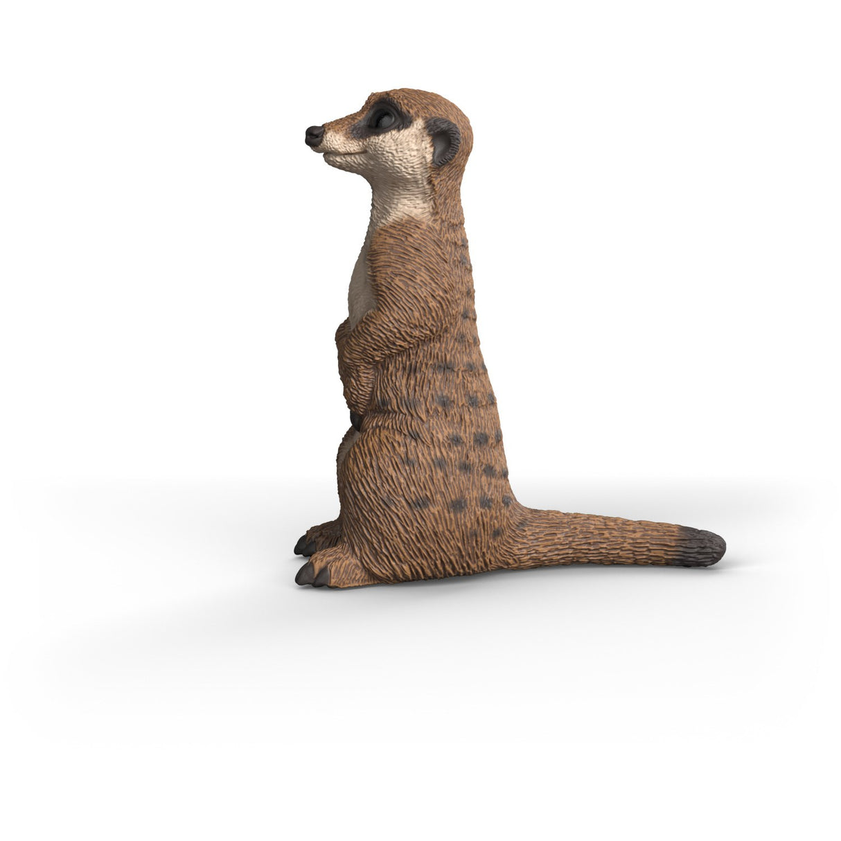 Schleich Surikat