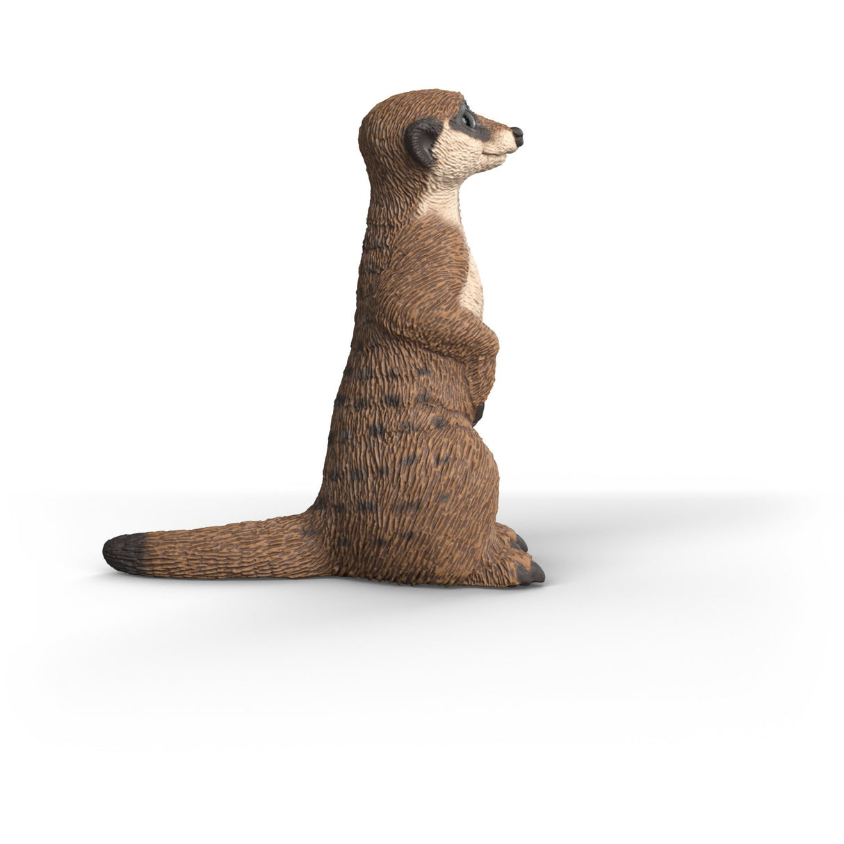 Schleich Surikat