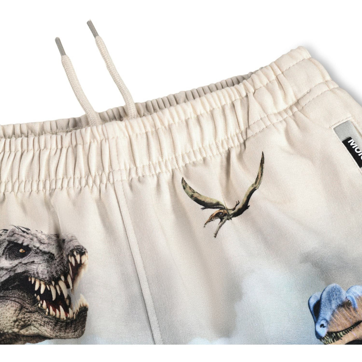 Molo Hot Spring Dinos Amil Sweatpants