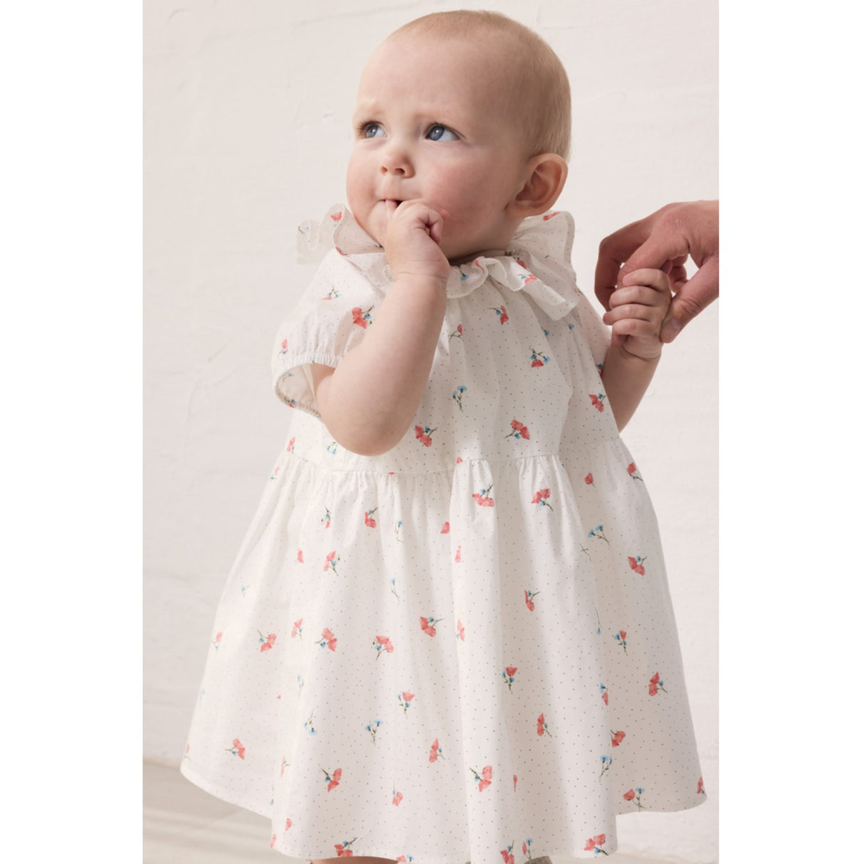 MarMar Poplin Poppy Dalino Dress
