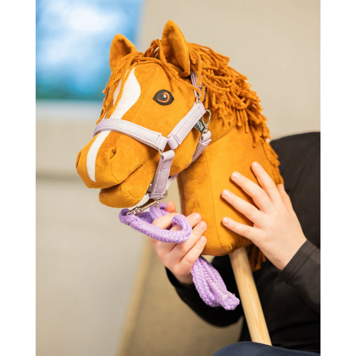 My Hobby Horse Purple Hobby Horse Pull Rope
