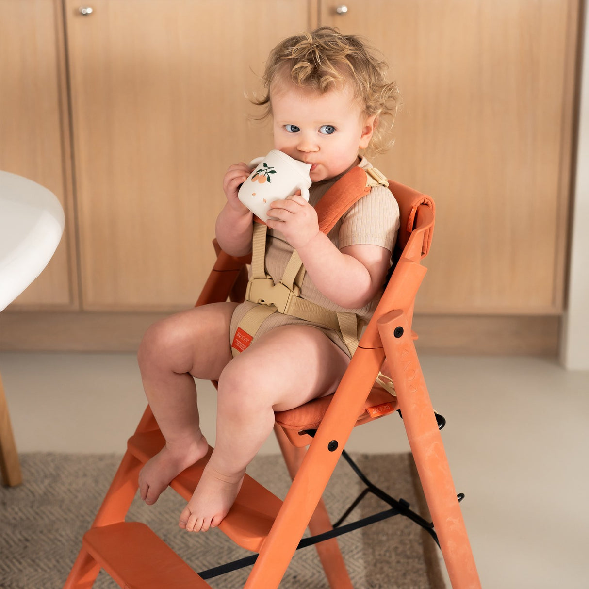 KAOS Terracotta Pink KLAPP® Jr. Harness & Cushion Set