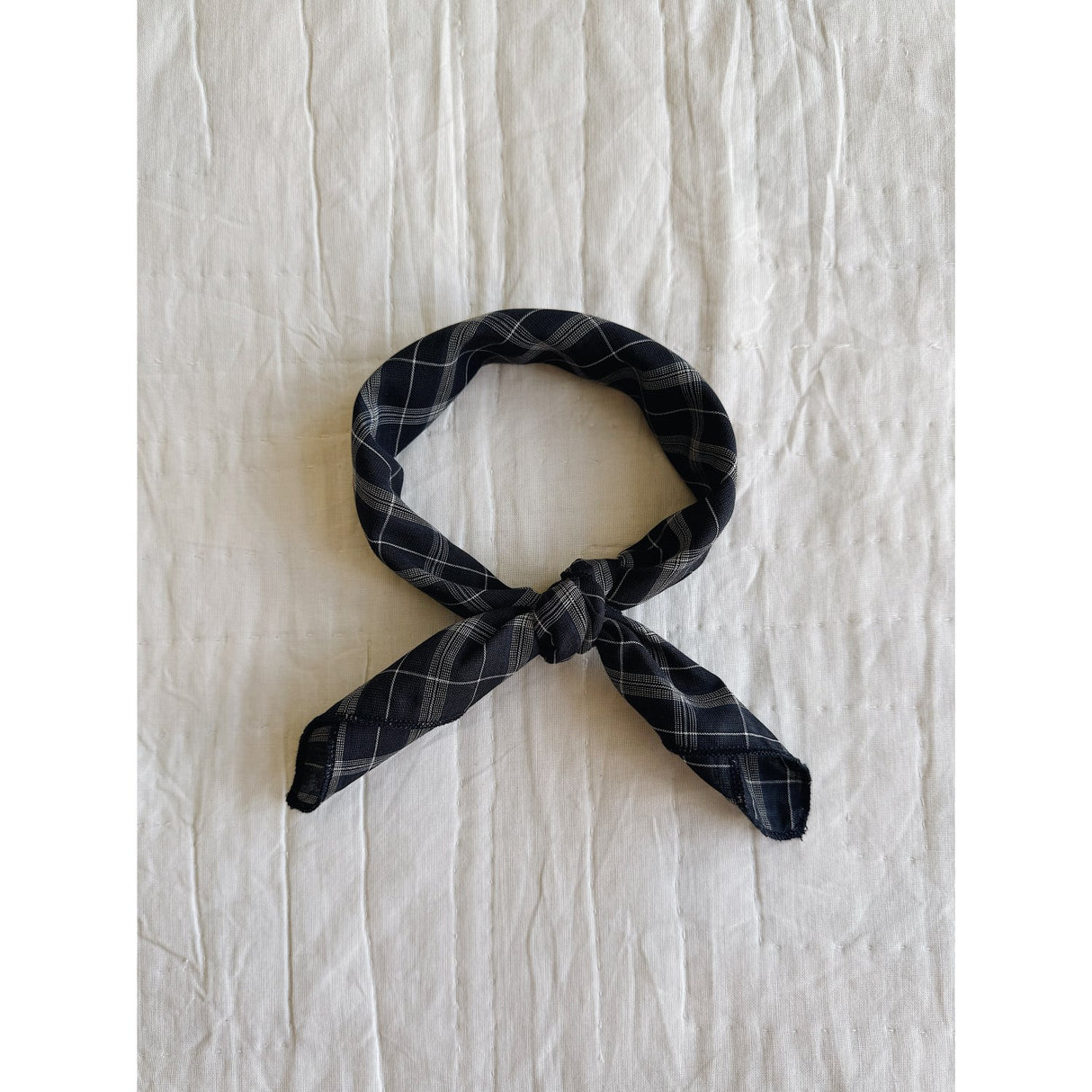 Lalaby Blue Check Eddie Scarf