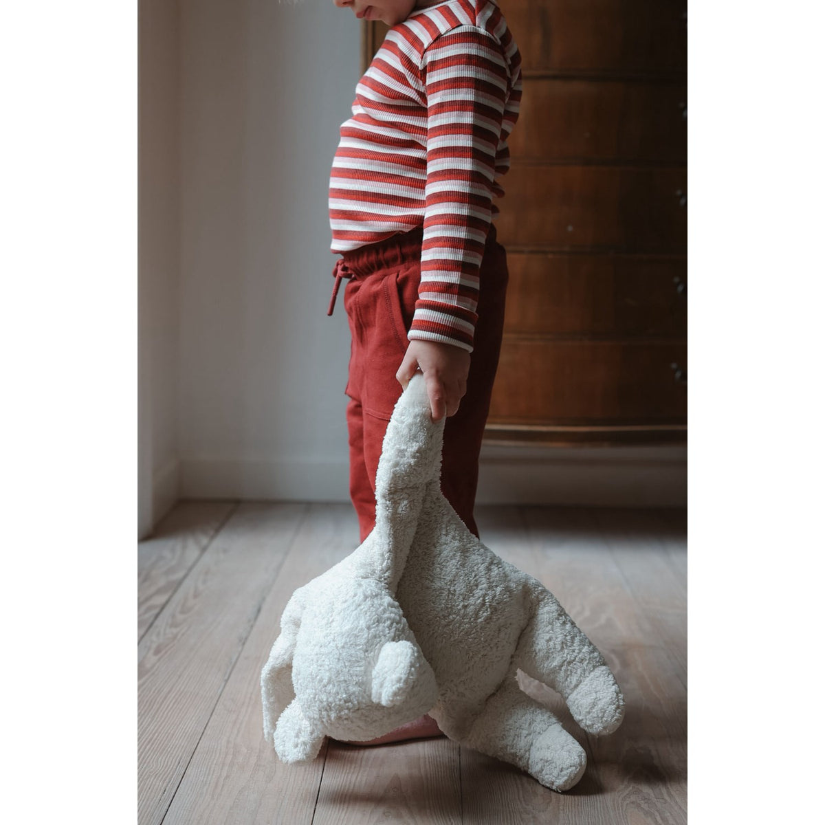 Petit Piao Syrah Striped Ppsky L_S Body