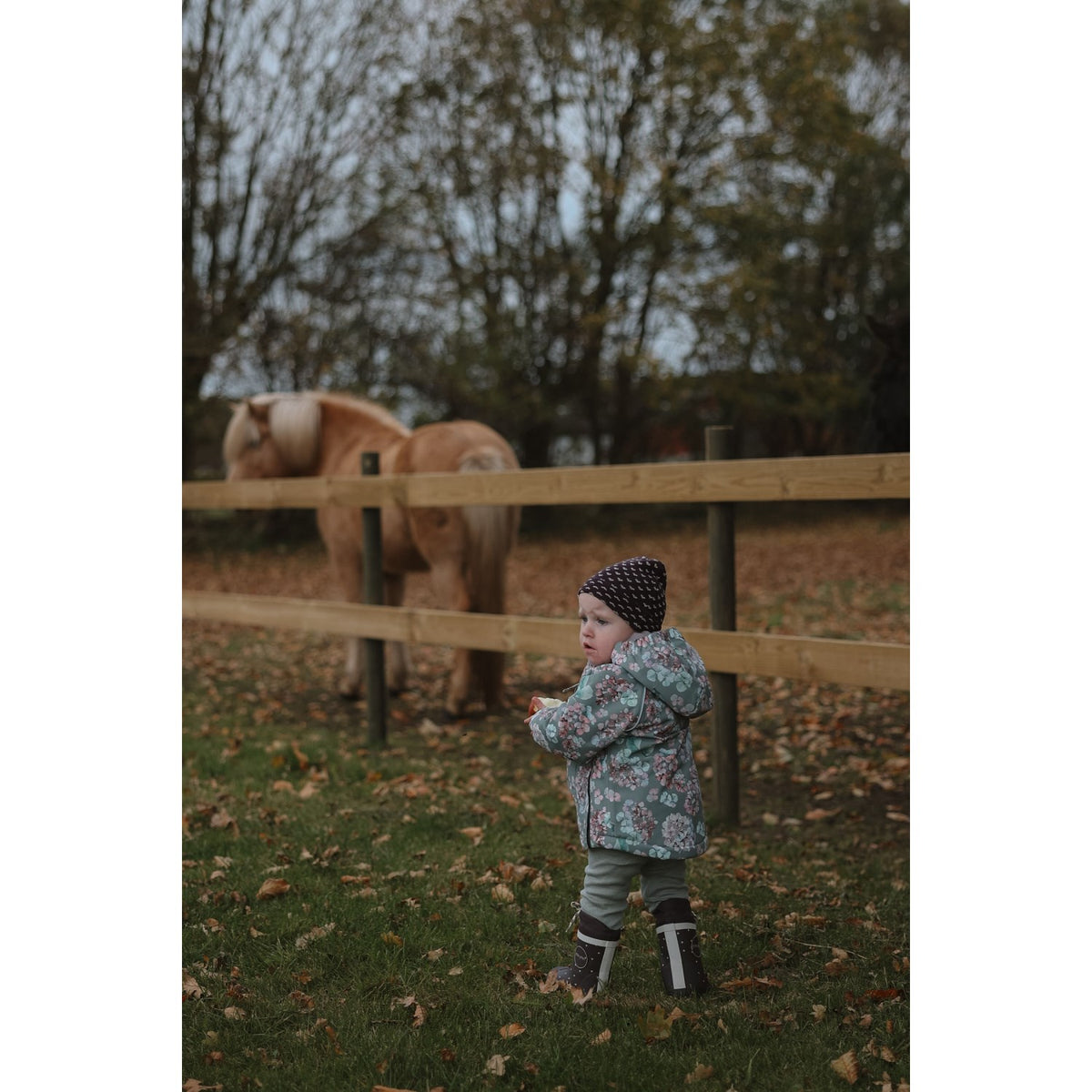Petit Piao Shadow Hydranger Aop Ppdard Winter Jacket