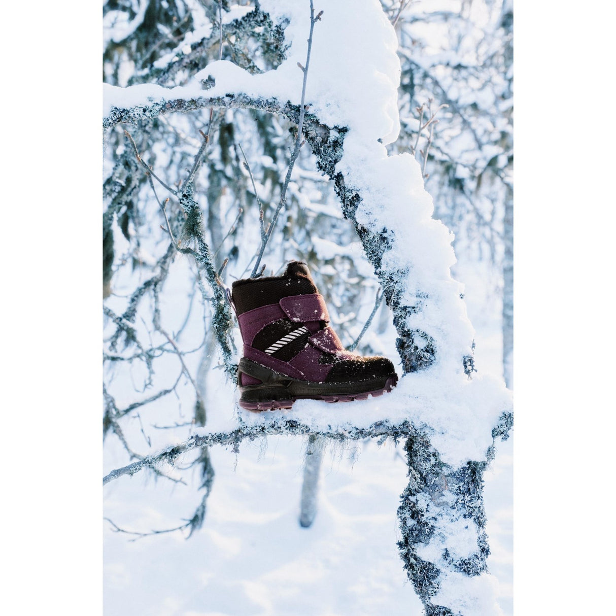 Ecco Black/Mauve/Black Biom Hike I High Boot 2X