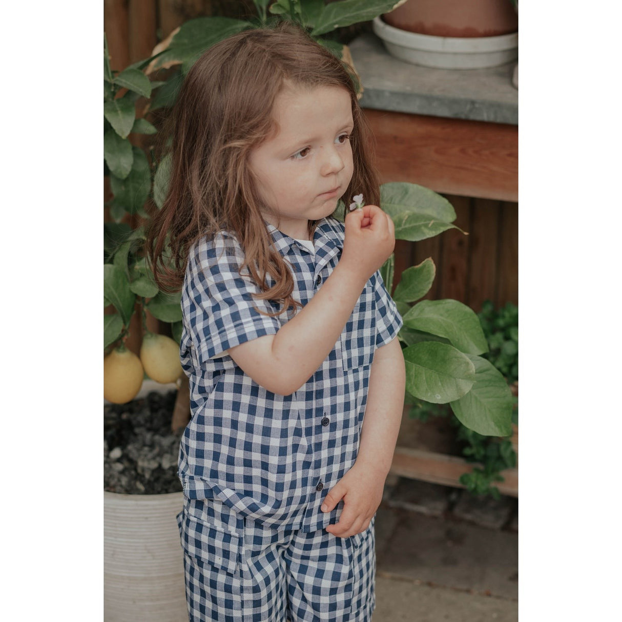 Fliink Insignia Sandshell Check Zorro Cargo Shorts