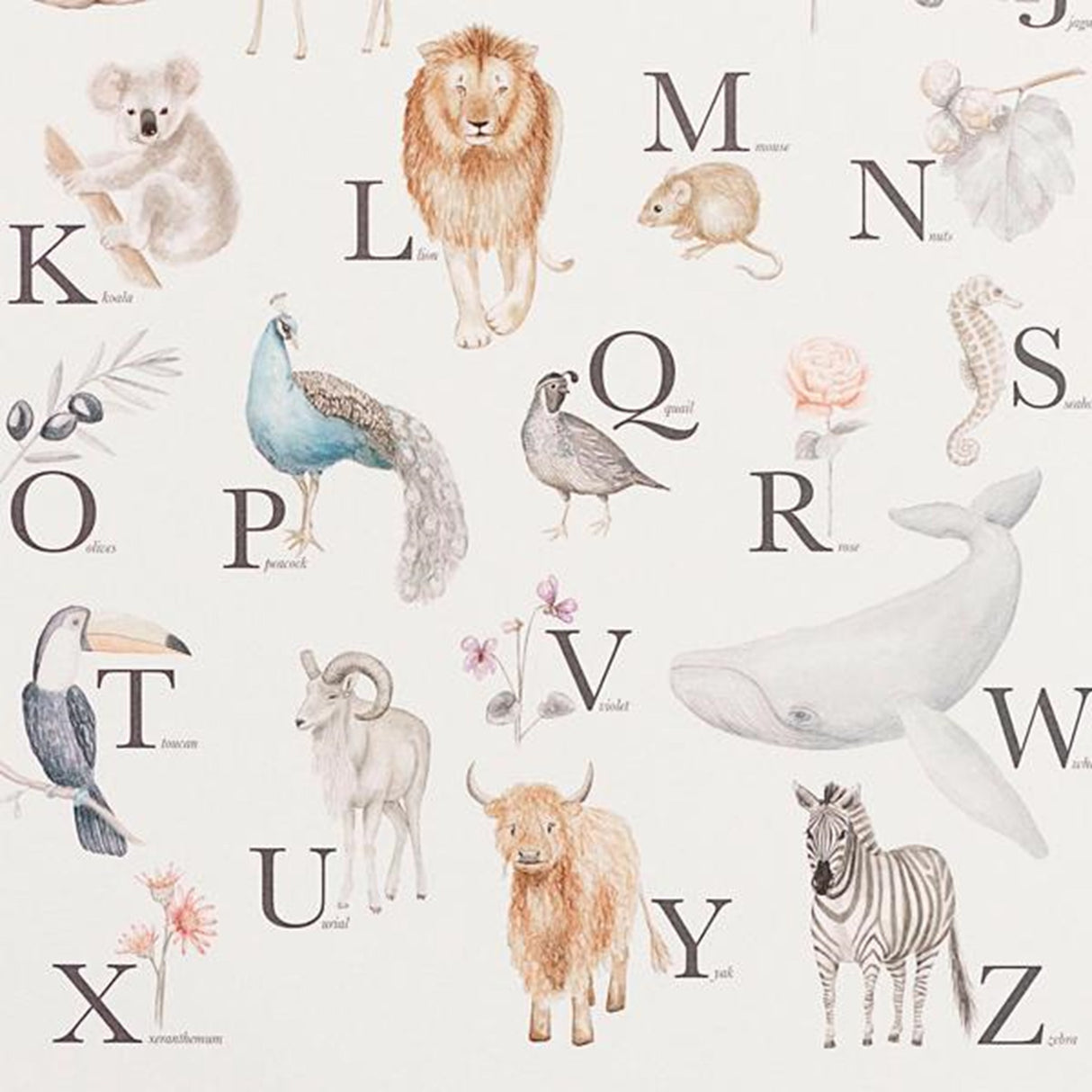 Cam Cam Copenhagen Alphabet Poster English