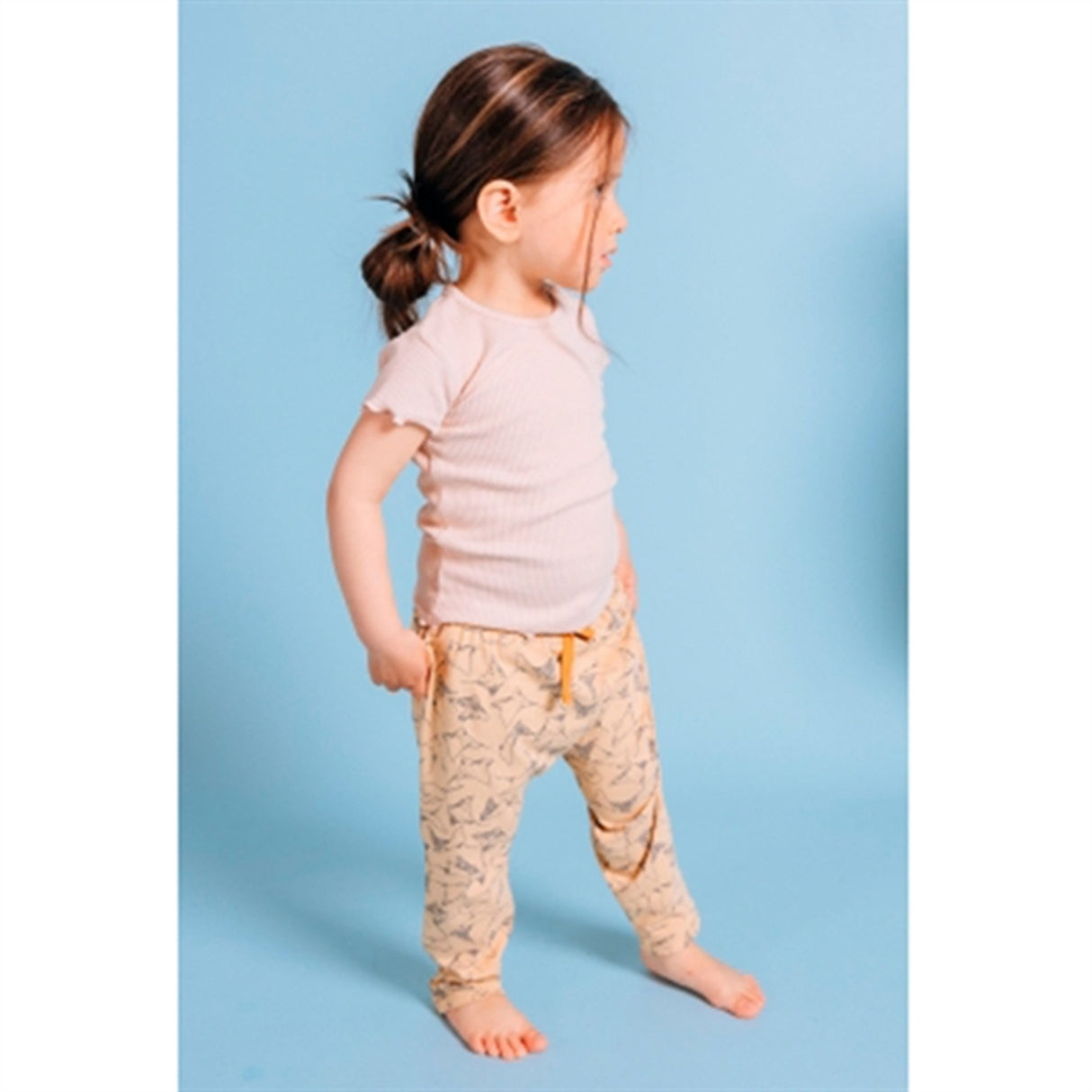 Soft Gallery Taffy Hailey Stingray Pants