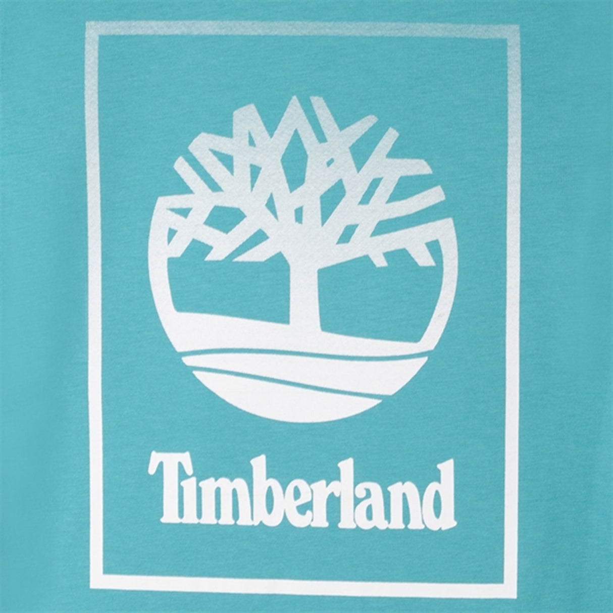 Timberland Pale Blue T-shirt 2