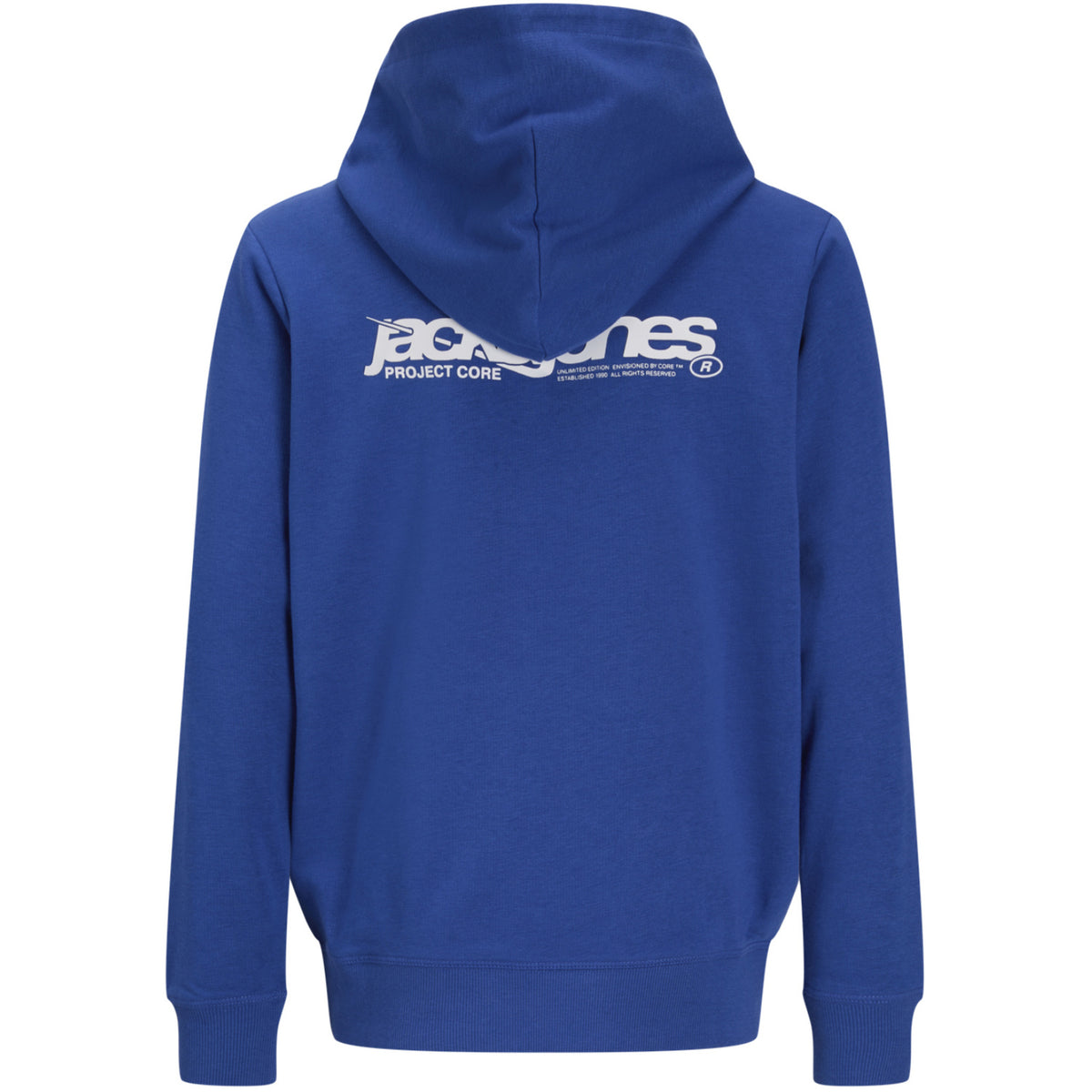 Jack & Jones Beaucoup Blue Jwhunion Print Sweat Hood Jnr