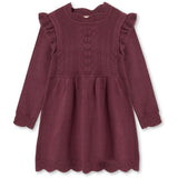 Fliink Burgendy Alilly Dress