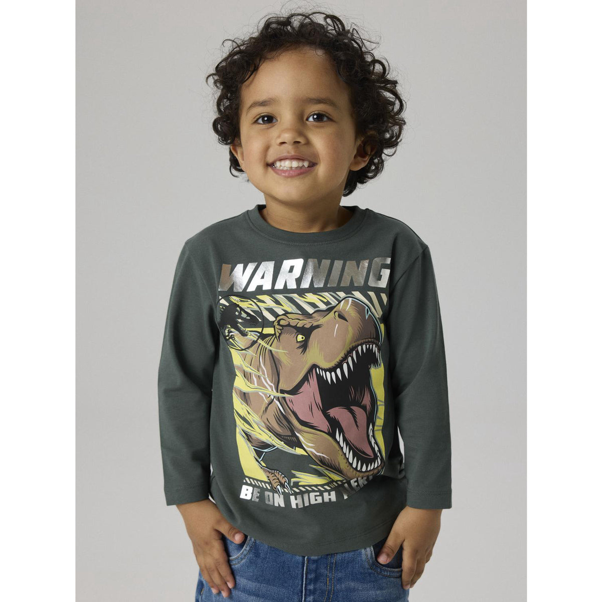 Name It Urban Chic Nmmjim Jurassic Ls Nreg Top Box Noos Sky
