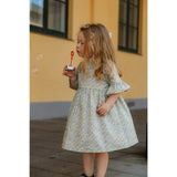 Lalaby Betsy Ann Viola Dress 3