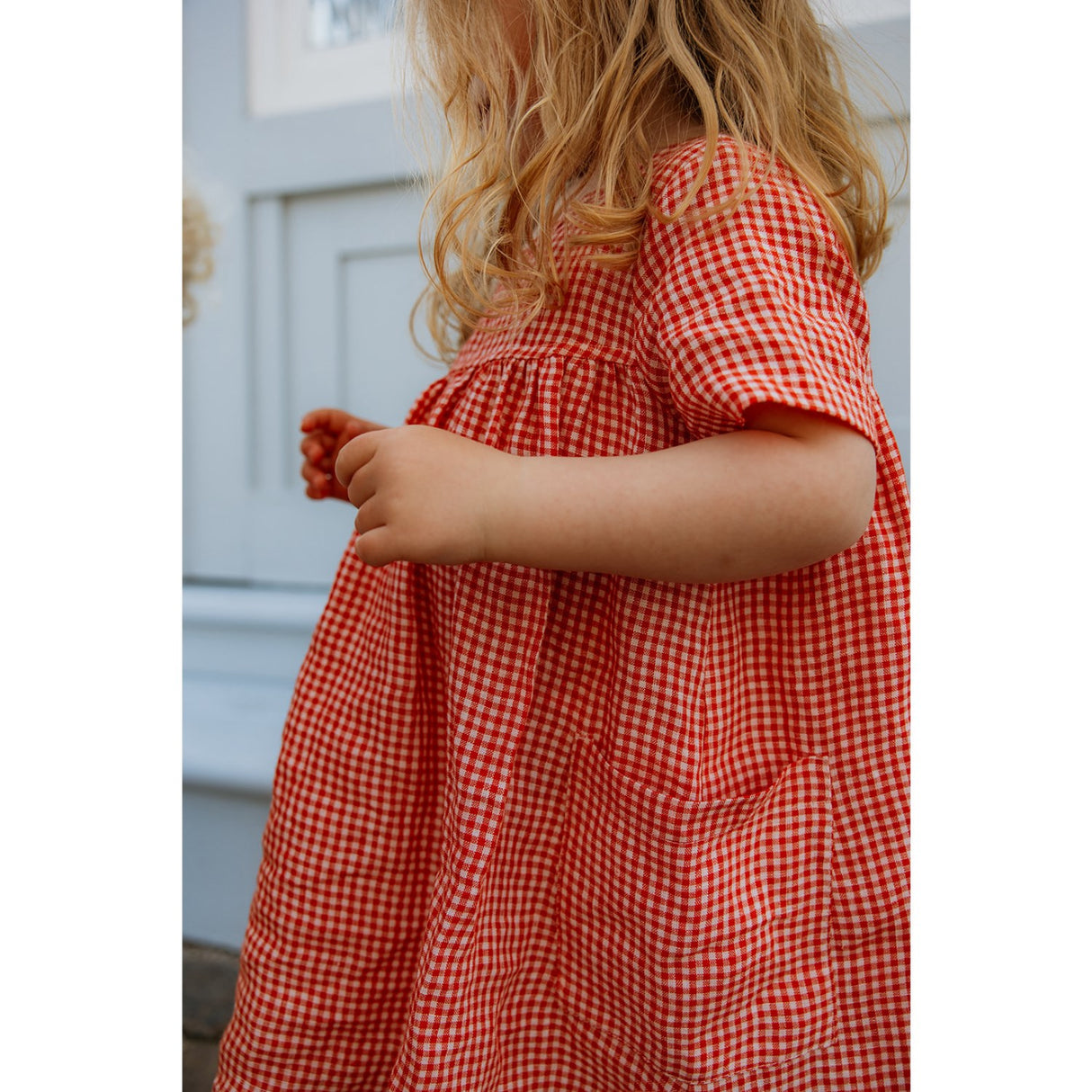 Lalaby Cherry Check Roberta Dress 10