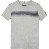 Tommy Hilfiger Light Grey Htr / Navy Stripes Monotype Print Stripe Reg Tee Ss