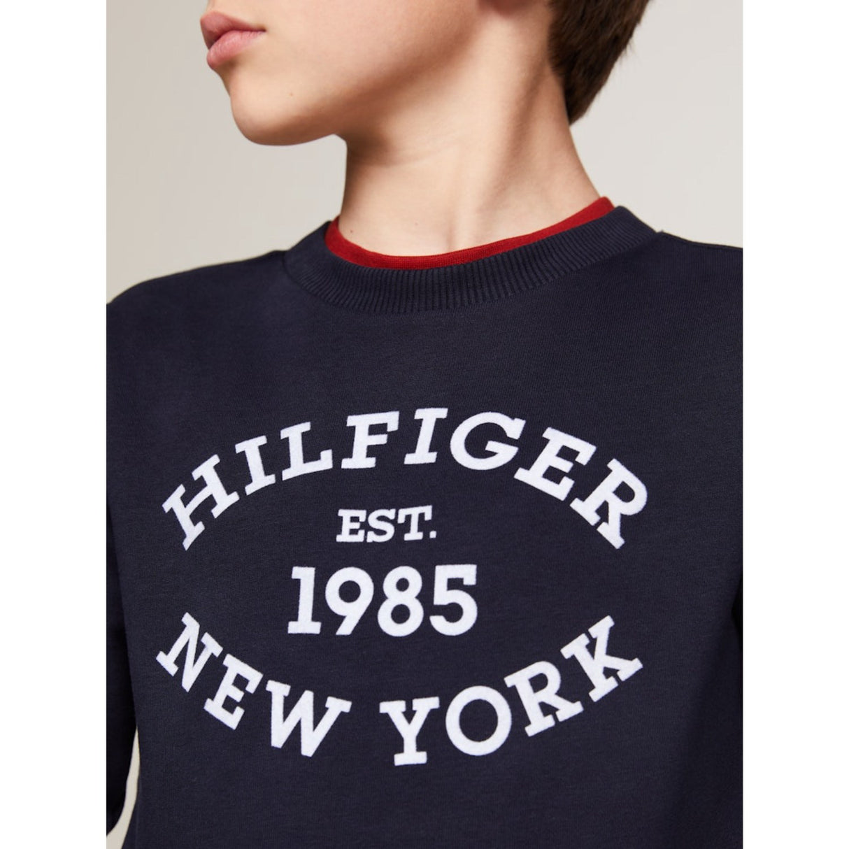 Tommy Hilfiger Desert Sky Monotype Flock Reg Crewneck 4