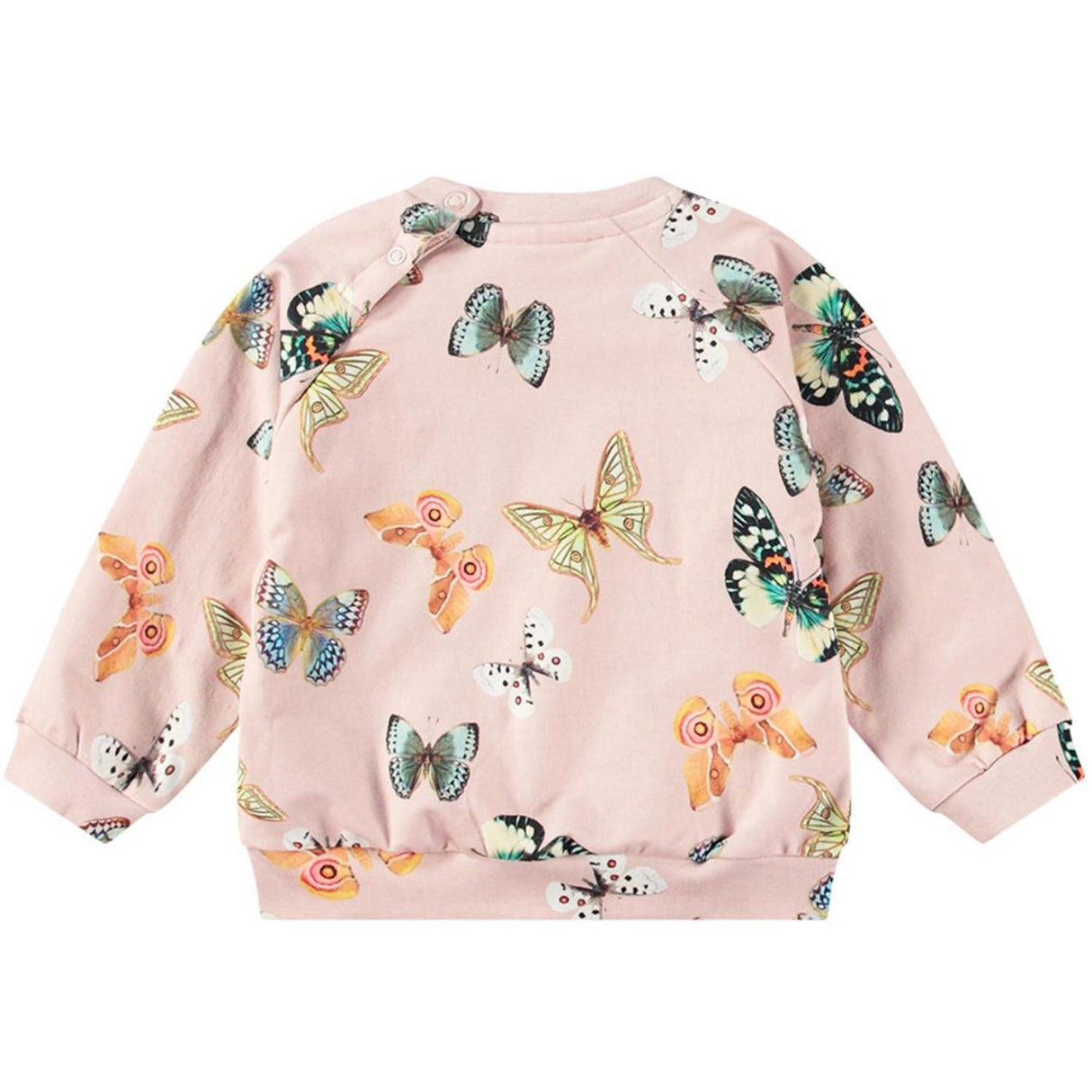 Molo Blush Papillions  Disc Crewneck 4