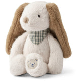 LieWood Sandy Binnie Dog Small Teddy