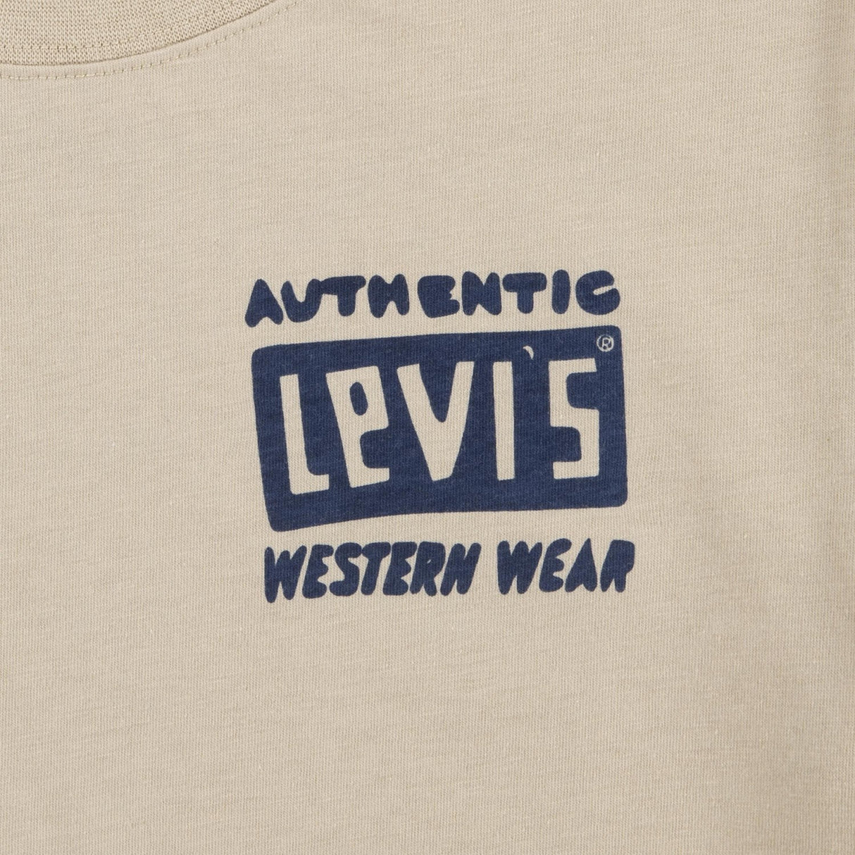 Levi's TAN Cactus Out Tee 2