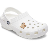 Crocs Jibbitz™ Golden Doodle Puppy