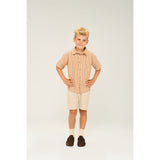 The New Indian Tan Striped Ollie Shirt