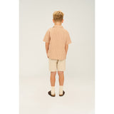 The New Indian Tan Striped Ollie Shirt