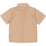 THE NEW Siblings Indian Tan Striped Opal Shirt