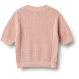 Wheat Powder Knit Top S/S Alva