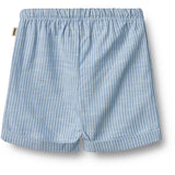 Wheat Blue Stripe Shorts Milton
