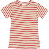 Petit Piao Light Berry/Dark Off White T-Shirt S/S Modal Striped