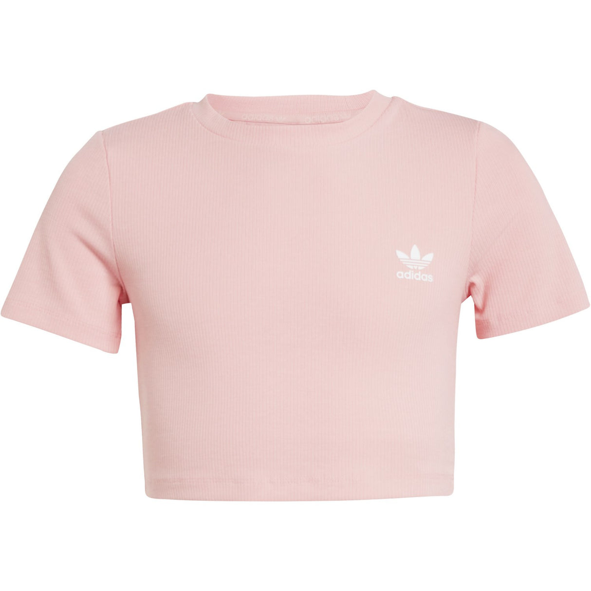 adidas Originals Semi Pink Spark Rib Crop Tee