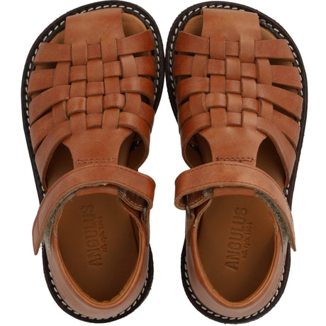 Angulus Tan Braided Leathersandal