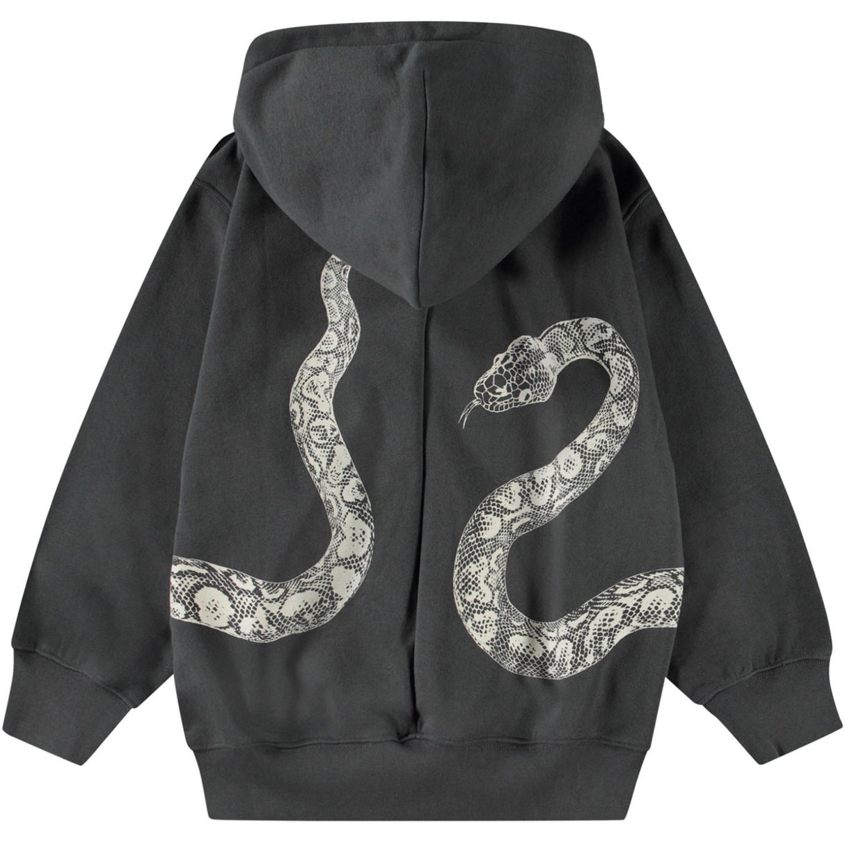 Molo Unexplored Mazzo Hoodie