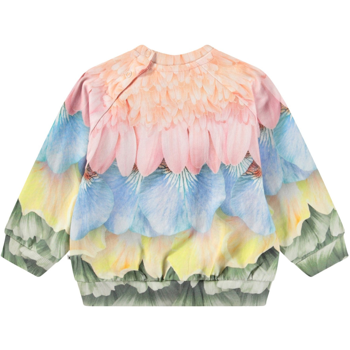 Molo Petal Rainbow Disc Sweatshirt