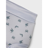 Lil'Atelier Vapor Blue Fero Swim Brief With Shield