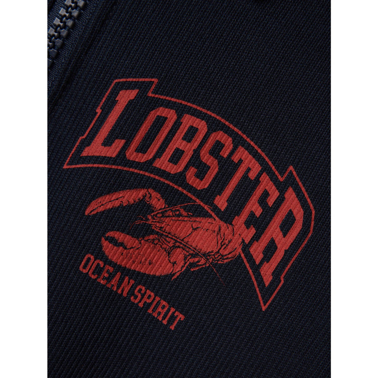 Name It Navy Blazer Freddy Regular Sweatshirt