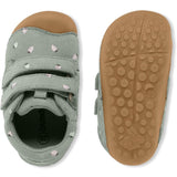 Bundgaard Strawberries Petit Low