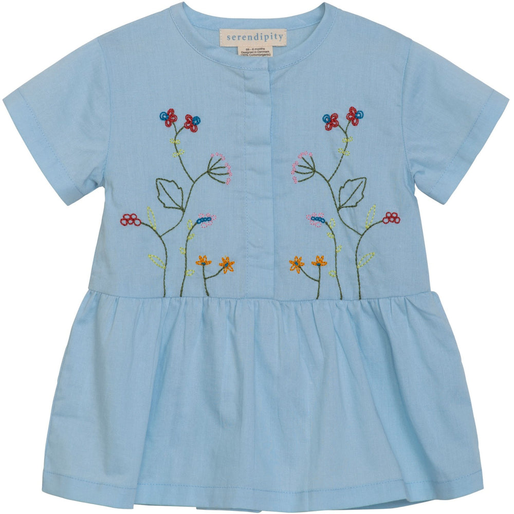 Serendipity Horizon Baby Embroidery Dress