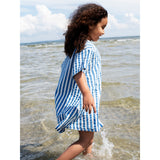 Serendipity Azur Stripe Button Dress