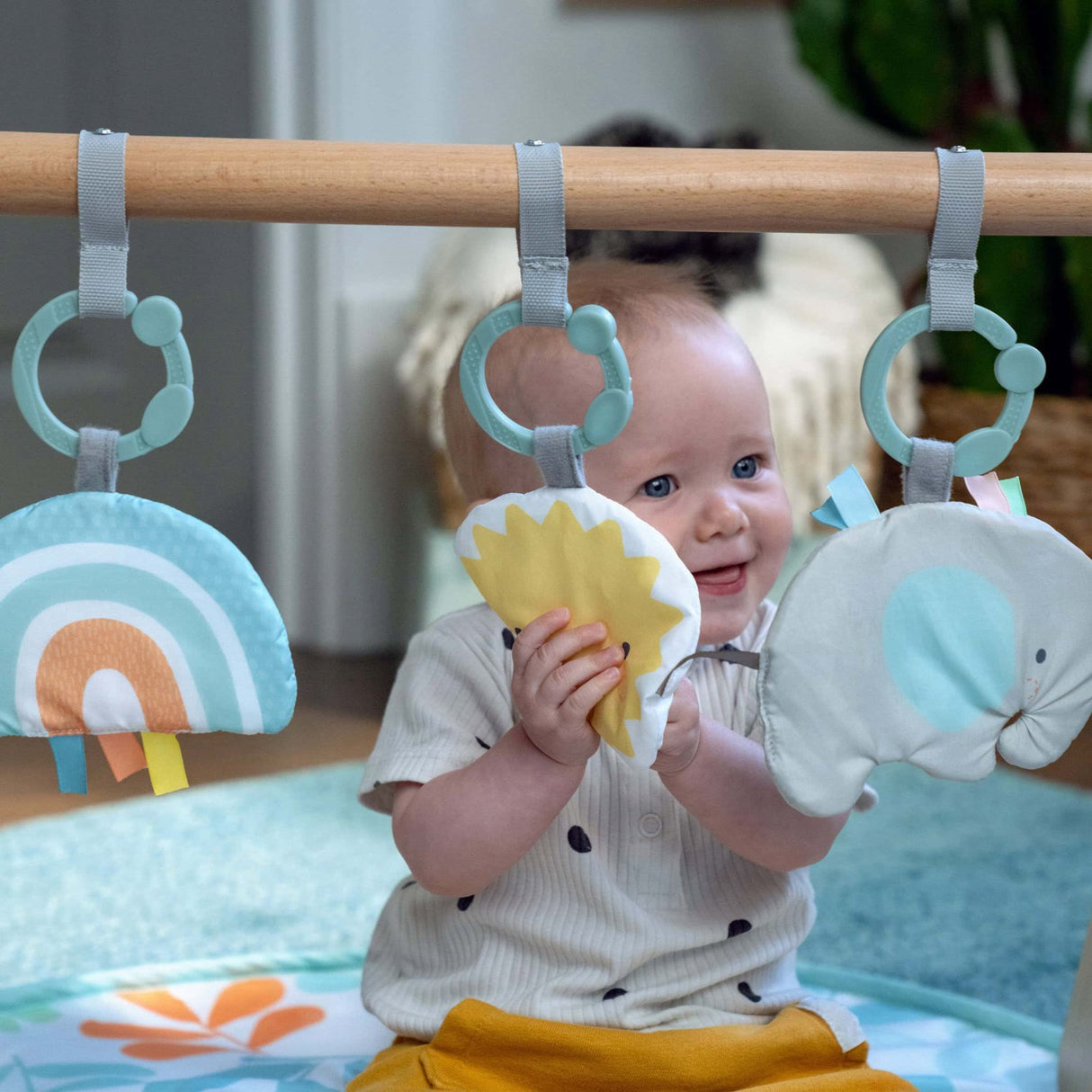 Ingenuity Sun Valley™ Wooden Toy Arch & Play Mat