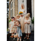 Konges Sløjd Rosa Bleu Celebration Sheeny Smock Dress