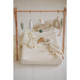 Woobiboo With Mint Baby Gym With Hangers