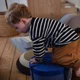 bObles Cloudy Blue Fish