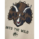 Name It Peyote Nmmjogger Jurassic Nreg Ss Top Box Sky