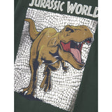 Name It Garden Topiary Nmmjewel Jurassic Nreg Ls Top Noos Sky