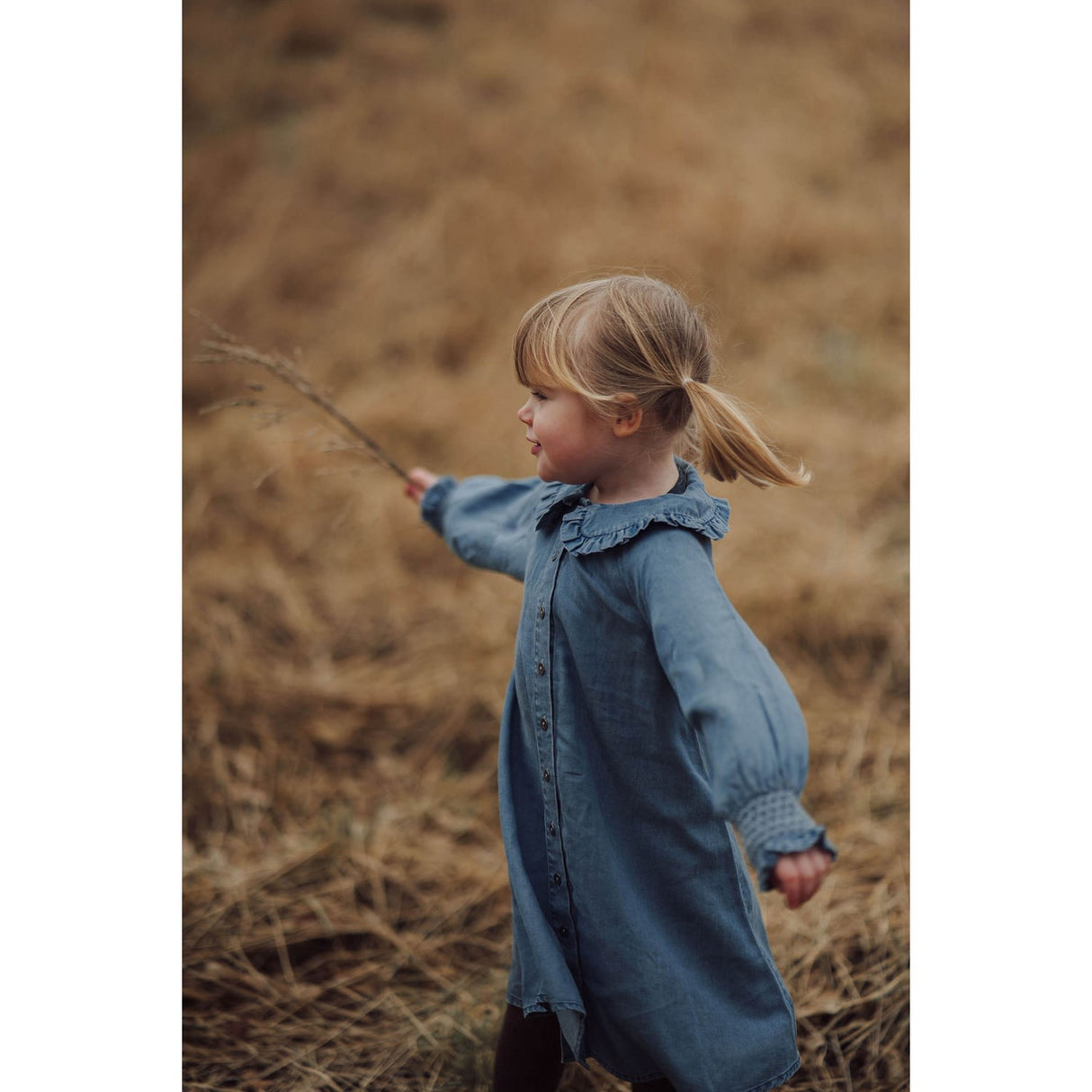 Fliink Dream Blue Balou Dress